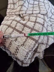 Is this a BFP?