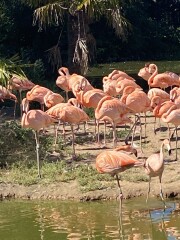 Come and tell me your dull and unexciting news 23: Calmly through the day 