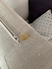 Sticky sweet stuck to sofa