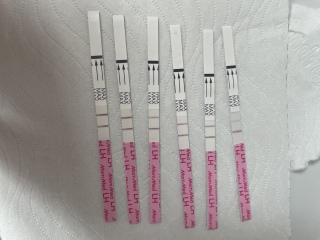 Ttc negative lh tests but ewcm is there a chance I can still get pregnant?