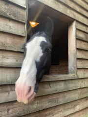 Adult new or returning riders up for a chat?