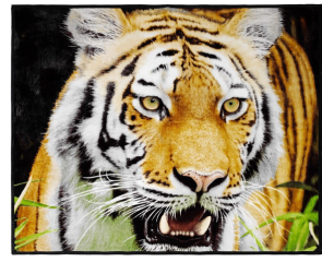 What type of blankets will keep the kids warm this winter? 