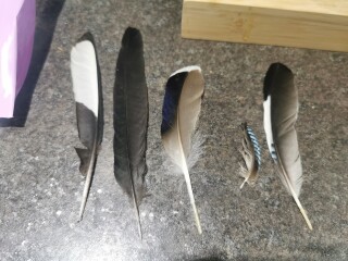 Any Witches Here?- Part 17.