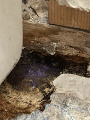 What causes bright blue/purple mould in bathroom?