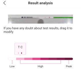 Ovulation test help me understand please 