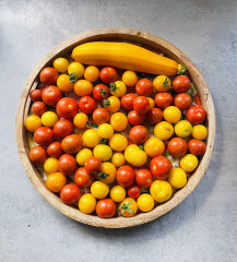 The Vegetable Patch