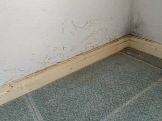 Should I be paying mum rent?