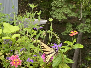 Come and tell me your dull and unexciting news 23: Calmly through the day 