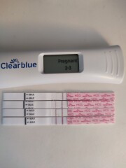 Line progression easy@home tests - no change between 16-18dpo