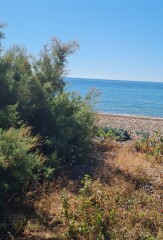 To move to Brighton and Hove 