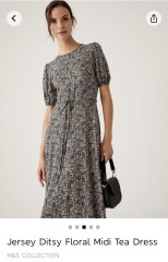 Dress needed for afternoon tea. Help please!!