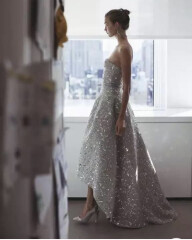 Help me find a silver dress!