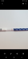 BFP 12 dpo