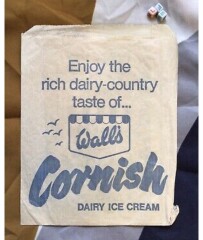 Is it weird to ask for ice cream cones to be put in a paper bag?