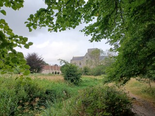 Come chat hiking with me!