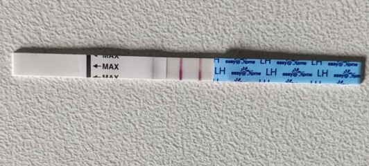 OPK & DTD Help please 