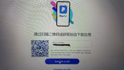 Can you have a quick look at this & tell me if my Paypal has been scammed somehow?