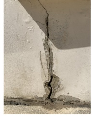Is this crack worrying? Subsidence?