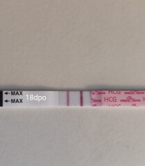 Line progression easy@home tests - no change between 16-18dpo