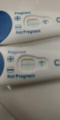 Faint pregnancy line 