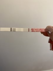 10dpo - very faint line