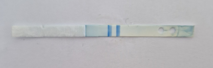 Due April/May after MC 🌈