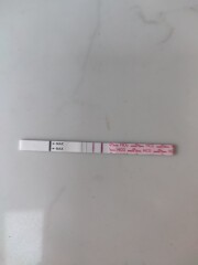 Due Feb/Mar after MC 🌈 🙈