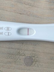 Line eyes? Evap line FRER?