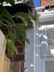 Neighbours drainpipe now draining on our garden