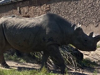 Come and tell me your dull and unexciting news 23: Calmly through the day 