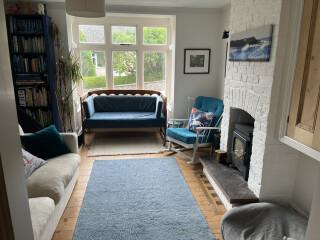 Curtains? Roman Blinds? Can't decide. Help appreciated. Photos included!