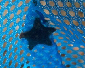 Summer savings support - be frugal 