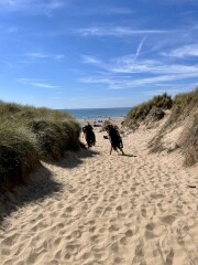 Are there any decent, liveable seaside towns in UK which aren’t silly expensive or horribly rundown?