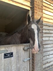 Adult new or returning riders up for a chat?
