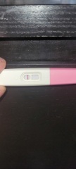 Results on pregnancy test????