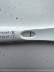 Pregnant or not?