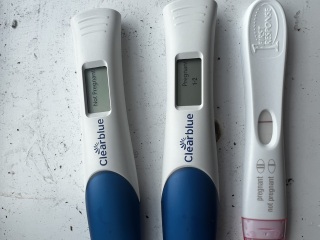 Pregnant or not?