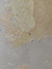 Tell me what this is before I burn the house down 
