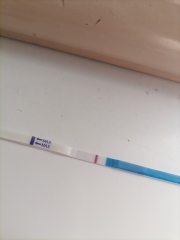 4 weeks pregnant and faint lines still