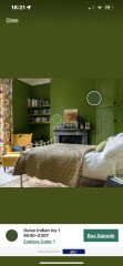 Help me find this lovely green paint!
