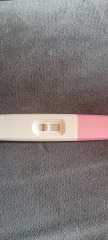Pregnancy test results??