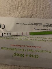 BBT chart help!