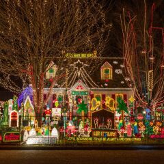 Will you be having any this year?