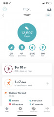Fitbit users
