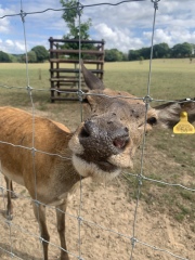 Countdown to Christmas 2022: it's s bit warm to be considering Christmas, but I'm doing it anyway! (Thread 3.)