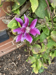 Show Us Your Pictures 6
