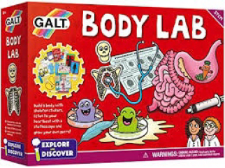 Ideas for my 6 year old 