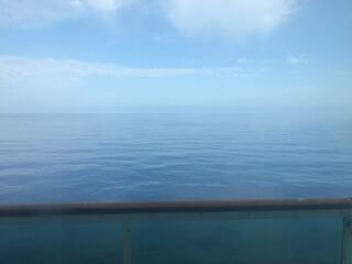 To cruise or not to cruise