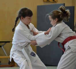 Looking for an activity for you or your children