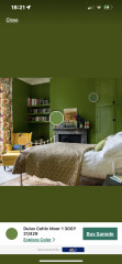 Help me find this lovely green paint!